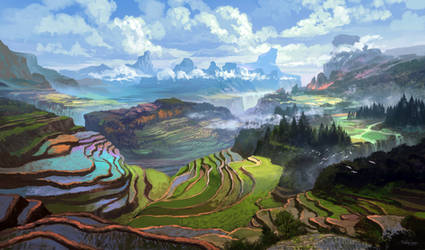 Rice Terraces