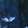 F2U - Blue Butterflies Custom Background