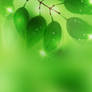 F2U - Bokeh Plants Custom Background