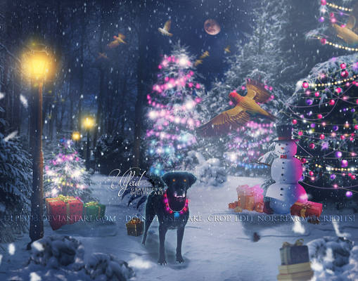 [COM] Katy - Christmas lights
