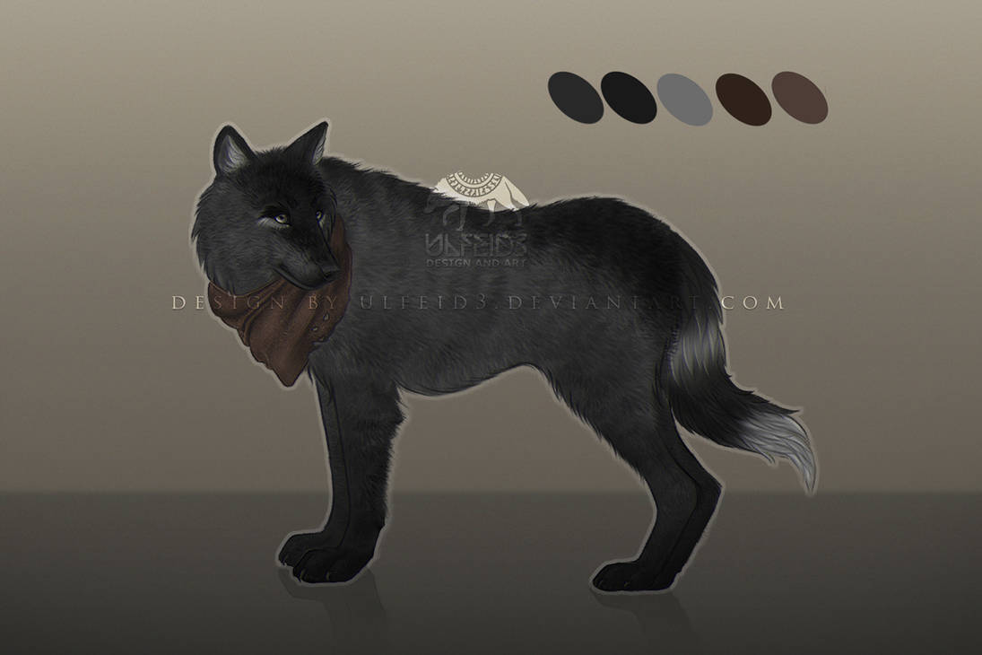 Character design - Wolf by Ulfeid3 on DeviantArt