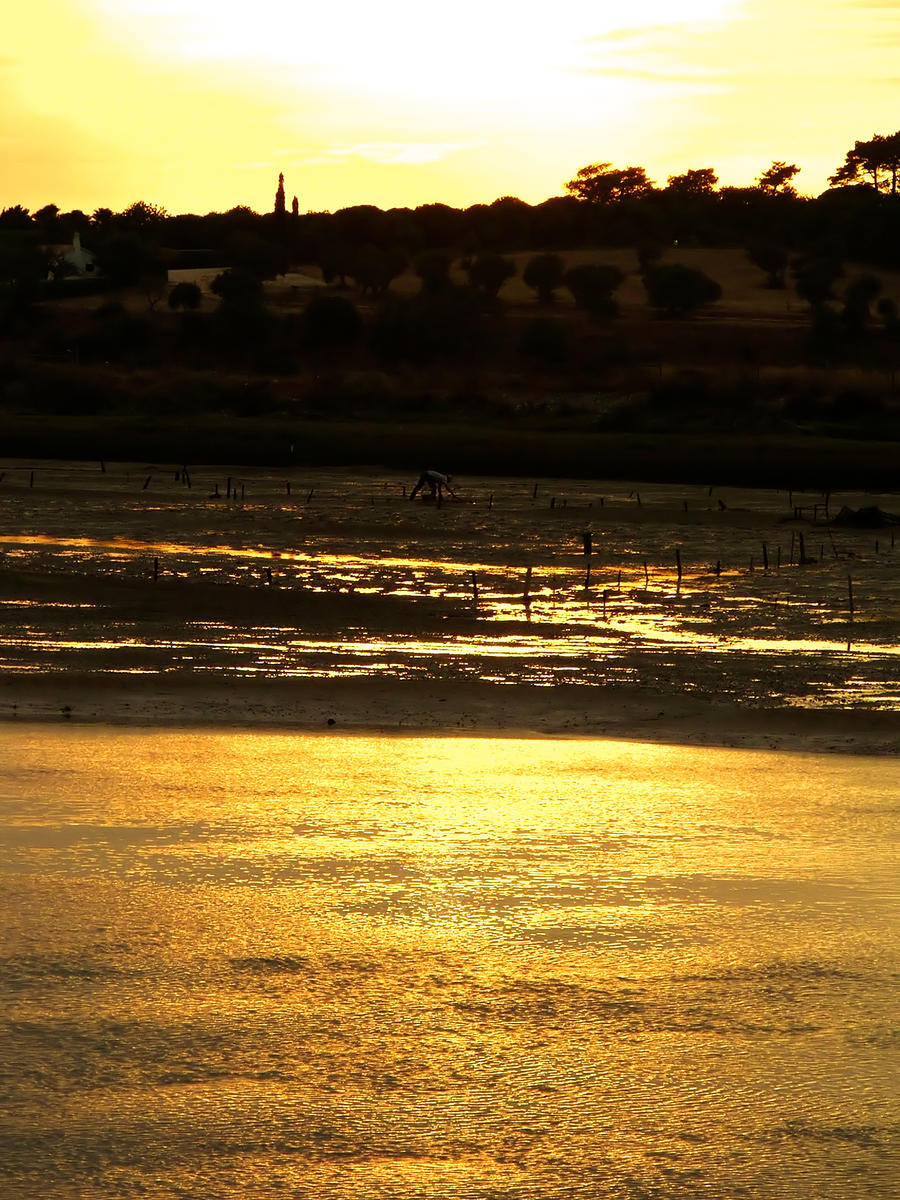 Sunset in Alvor I