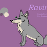 Ravina- Official Ref Sheet