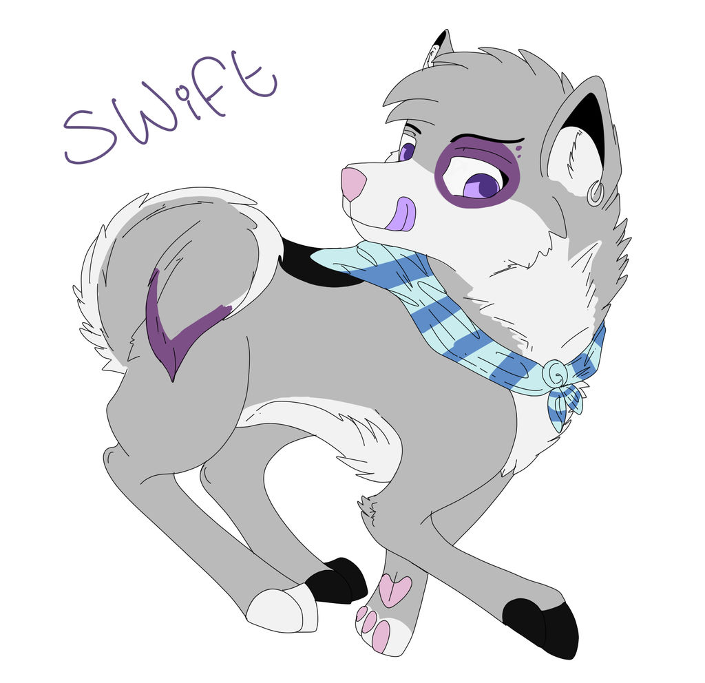 Swift NEW Official Ref Sheet 2014