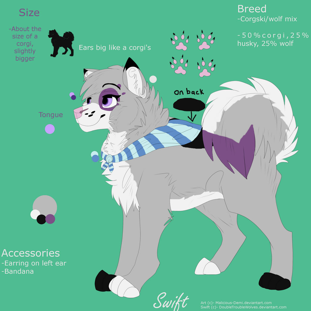 Swift Ref 2015 EDITED (ADDED TRADITIONAL REF)