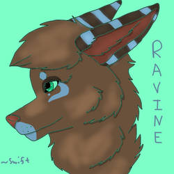 Ravine Headshot Badge