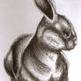 :Rabbit: