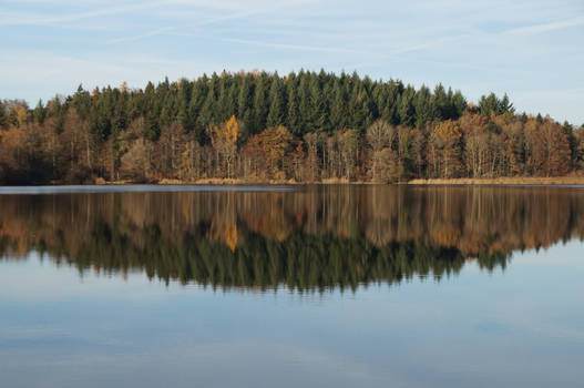 At the lake