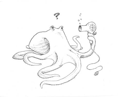 octopus blowdryer