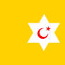 Flag for the East Turkestan Federal Republic