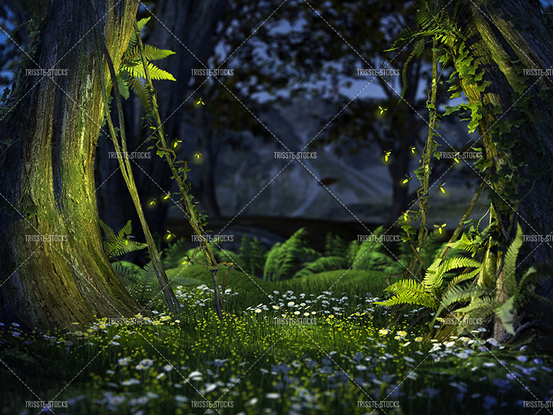 Spring Fireflies 2