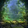 Spring Fireflies 1