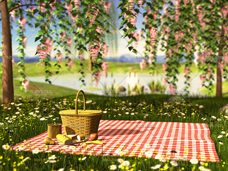 Spring Picnic