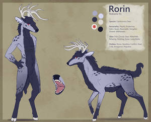 Rorin Character Sheet