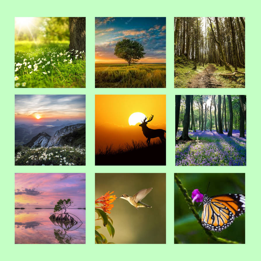Nature moodboard by GREENBEEN24 on DeviantArt