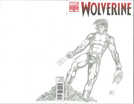 Wolverine 300 Sketch Cover