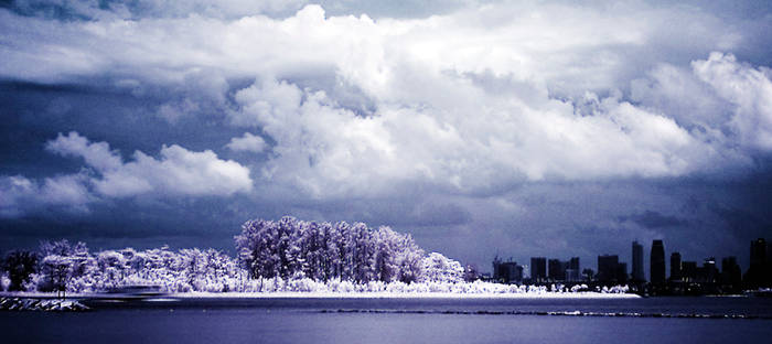 Frozen Landscape