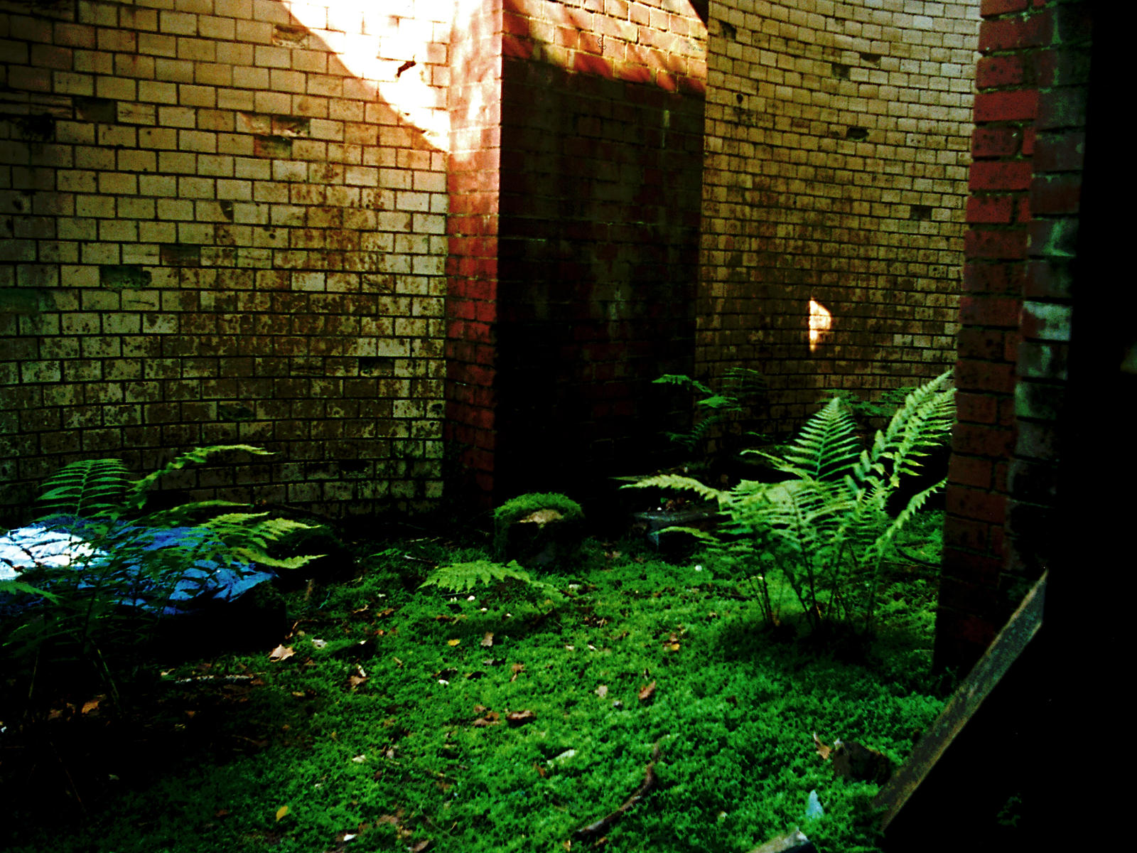 vegetation by Nature-of-Decay on DeviantArt