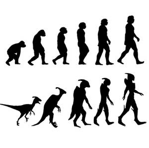 Evolution