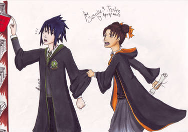 Slytherin Sasuke and Hufflepuff Tenten!