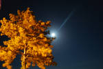 The Brightest Star by mynameisbump