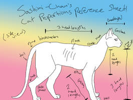 Cat Proportions Reference