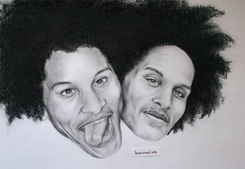 Les Twins