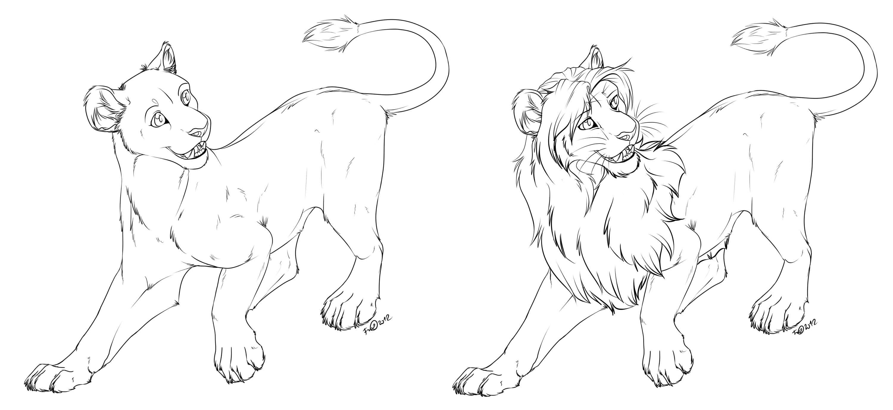 lioness-lion free lineart