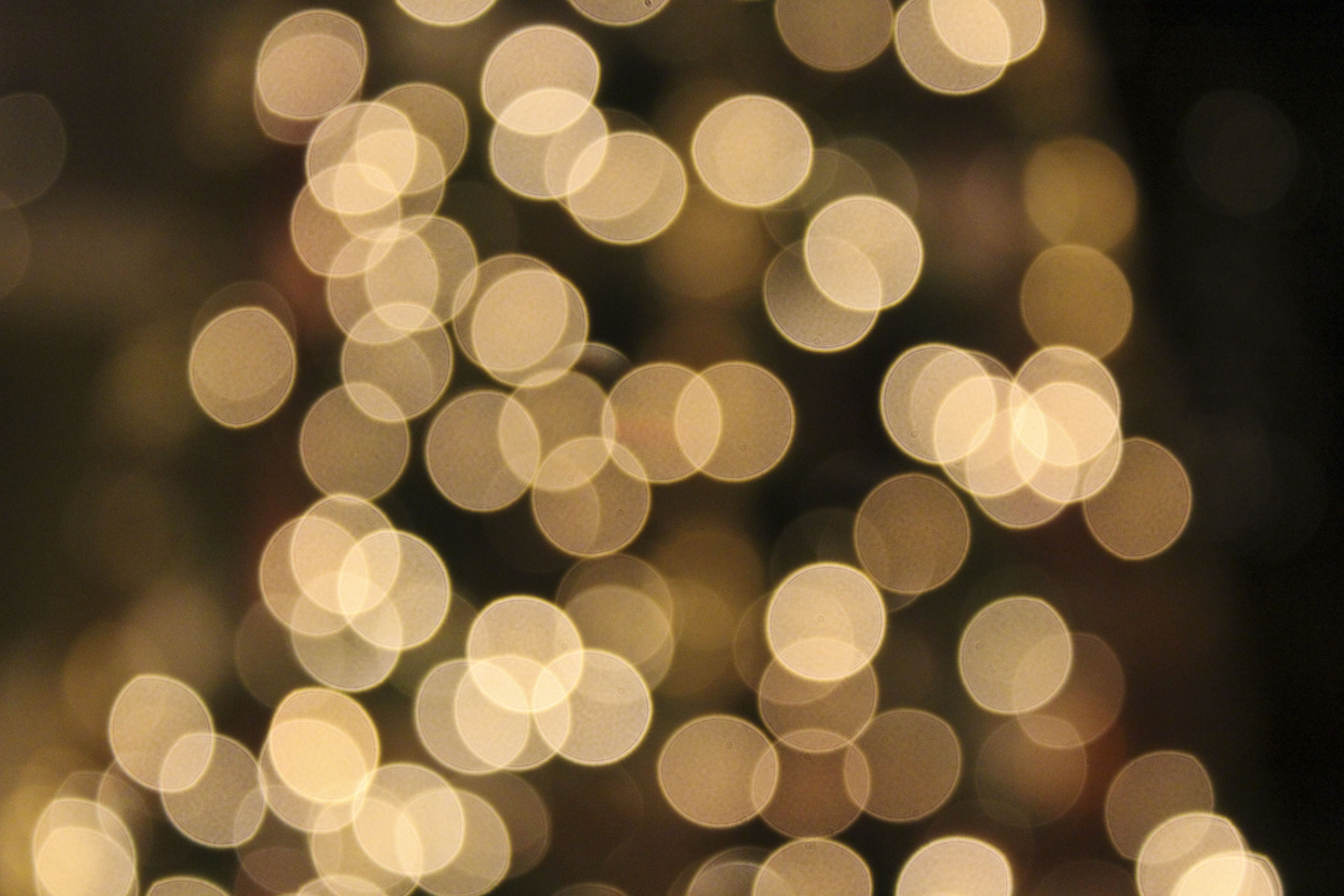 Bokeh/Blurred Christmas Lights (Medium)