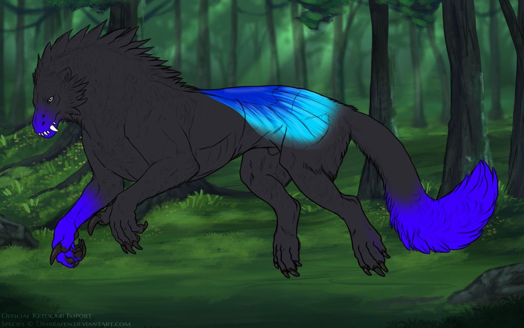 Morpho 1 by Narjana Morpho 1 by Narjana