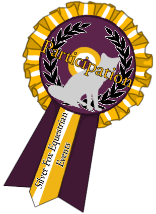 Participation Ribbon by Lucid-Dimensions on DeviantArt