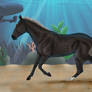 Underwater Eclipse : Liberty Entry