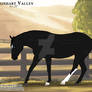 SOLD ShV Tiwsted Ebony