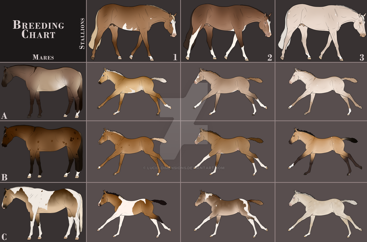 Breeding Rights Chart Breeding Chart CLOSED by Lucid-Dimensions on DeviantArt