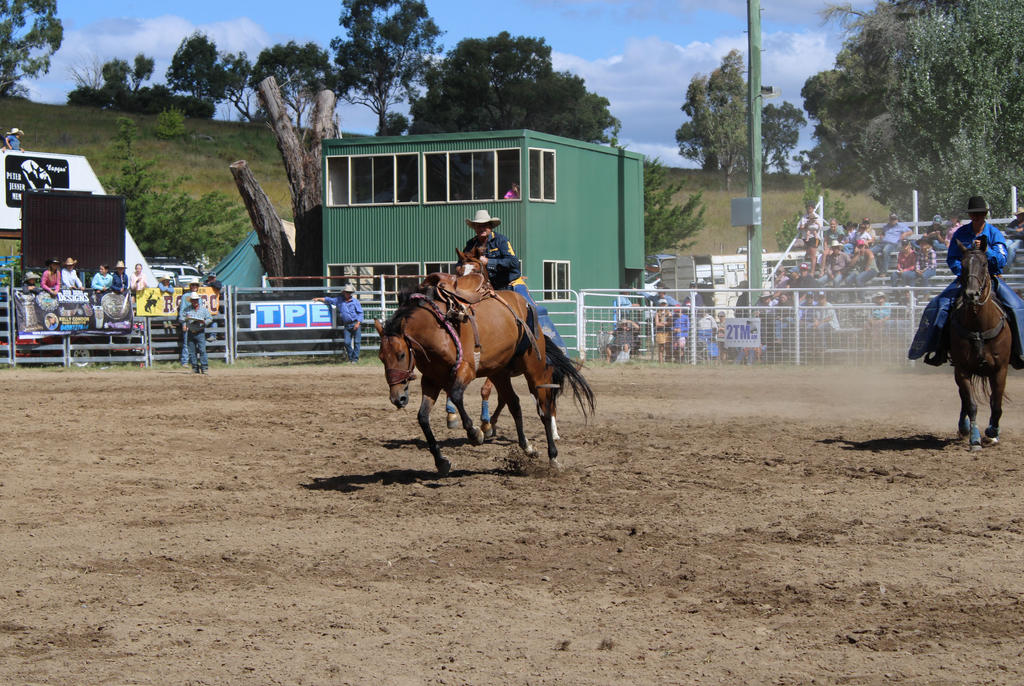 Rodeo 2022 Stock 35 by Lucid-Dimensions on DeviantArt