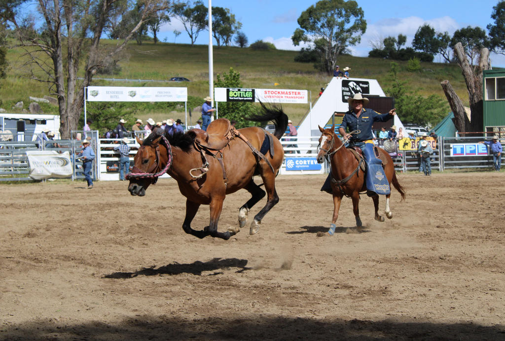Rodeo 2022 Stock 37 by Lucid-Dimensions on DeviantArt