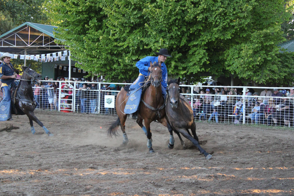 Rodeo 2022 Stock 96 by Lucid-Dimensions on DeviantArt