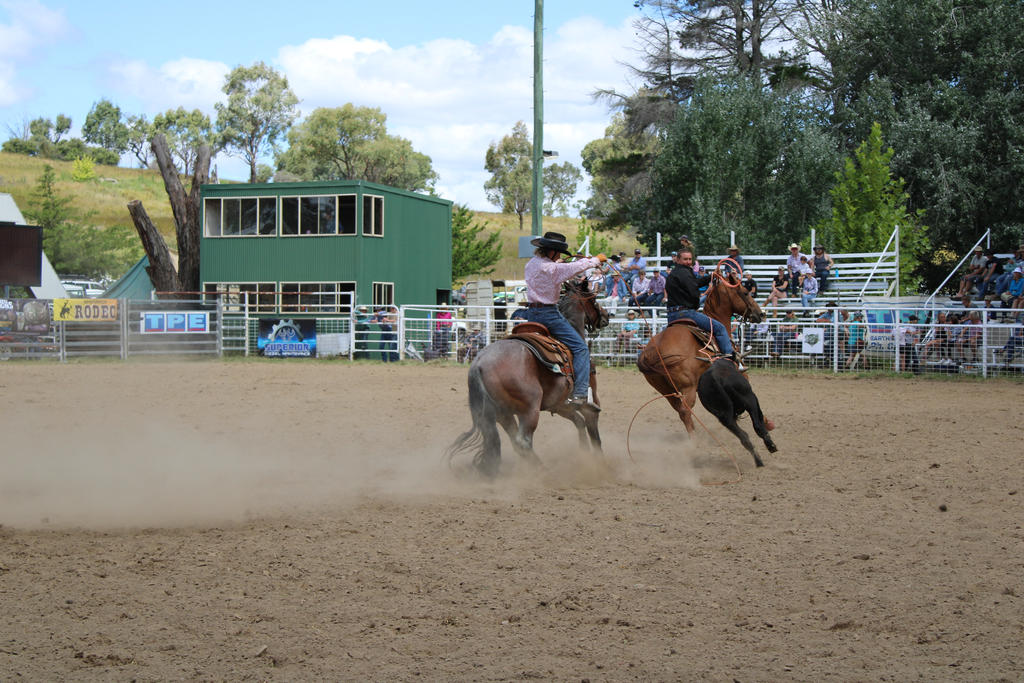 Rodeo 2022 Stock 121 by Lucid-Dimensions on DeviantArt