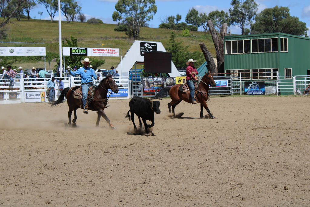 Rodeo 2022 Stock 149 by Lucid-Dimensions on DeviantArt