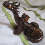 Tigers Eye Dragon