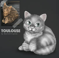 Toulouse the Tabby Cat