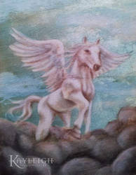 Pegasus Commission