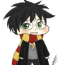 I Am Harry Potter