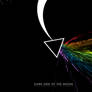 Dark Side Of The Moon