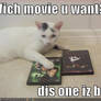 My cat likes watching movies