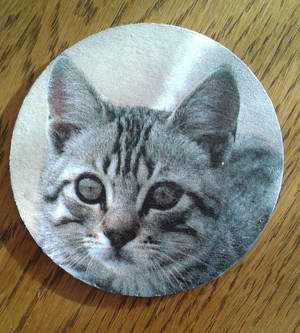 Decoupage cup pad CAT! Love this!