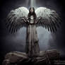 Like a thorn for the holy ones