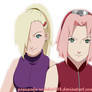 Sakura and Ino-BFF