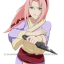 Sakura - Ready for Anything