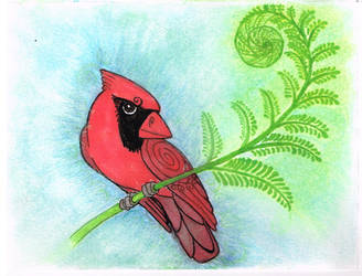 Cardinal and Fern